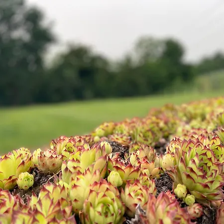 Cascina Mabette 아파트 파리글리아노