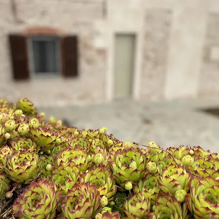 Cascina Mabette Apartamento Farigliano