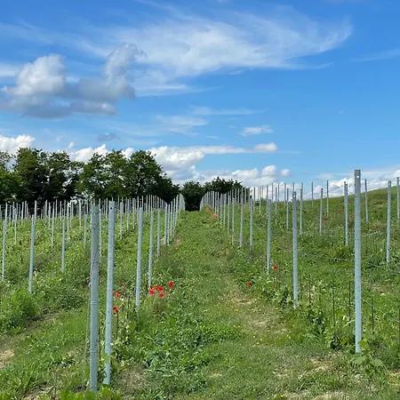 Cascina Mabette Апартаменты *
