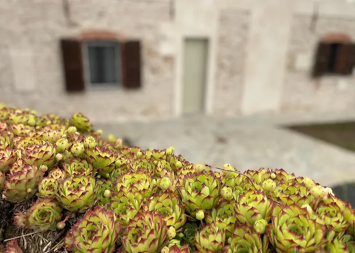 Cascina Mabette Apartment Farigliano