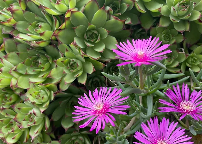 Cascina Mabette * Farigliano