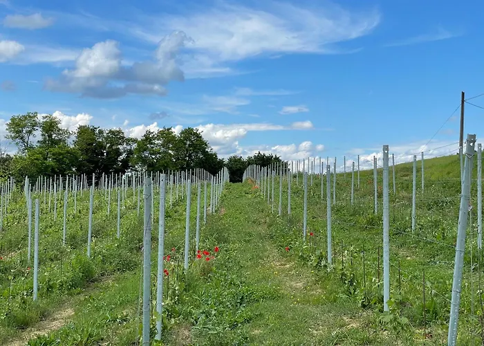 Cascina Mabette Apartment *