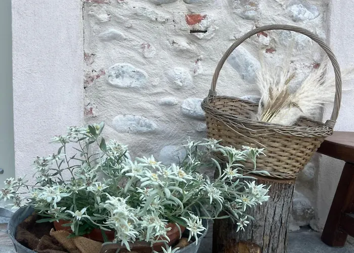 Cascina Mabette Apartment *